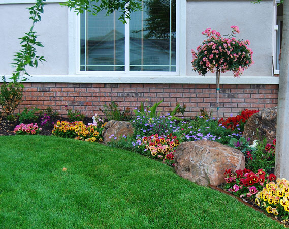 Landscape Design