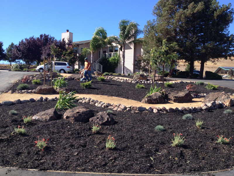 Landscape Design