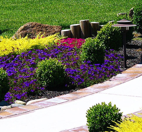 Landscape Design
